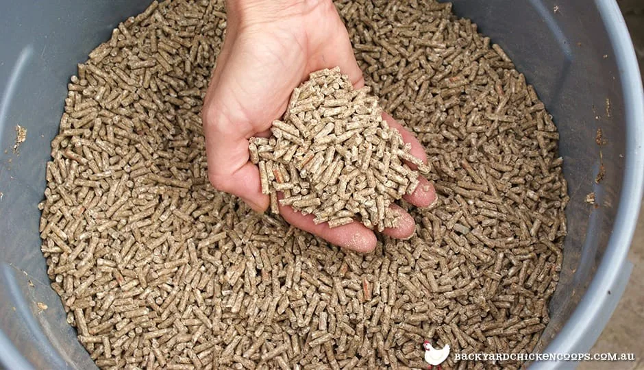 Stock Feeds (Broilers, Layers, Hyline etc)